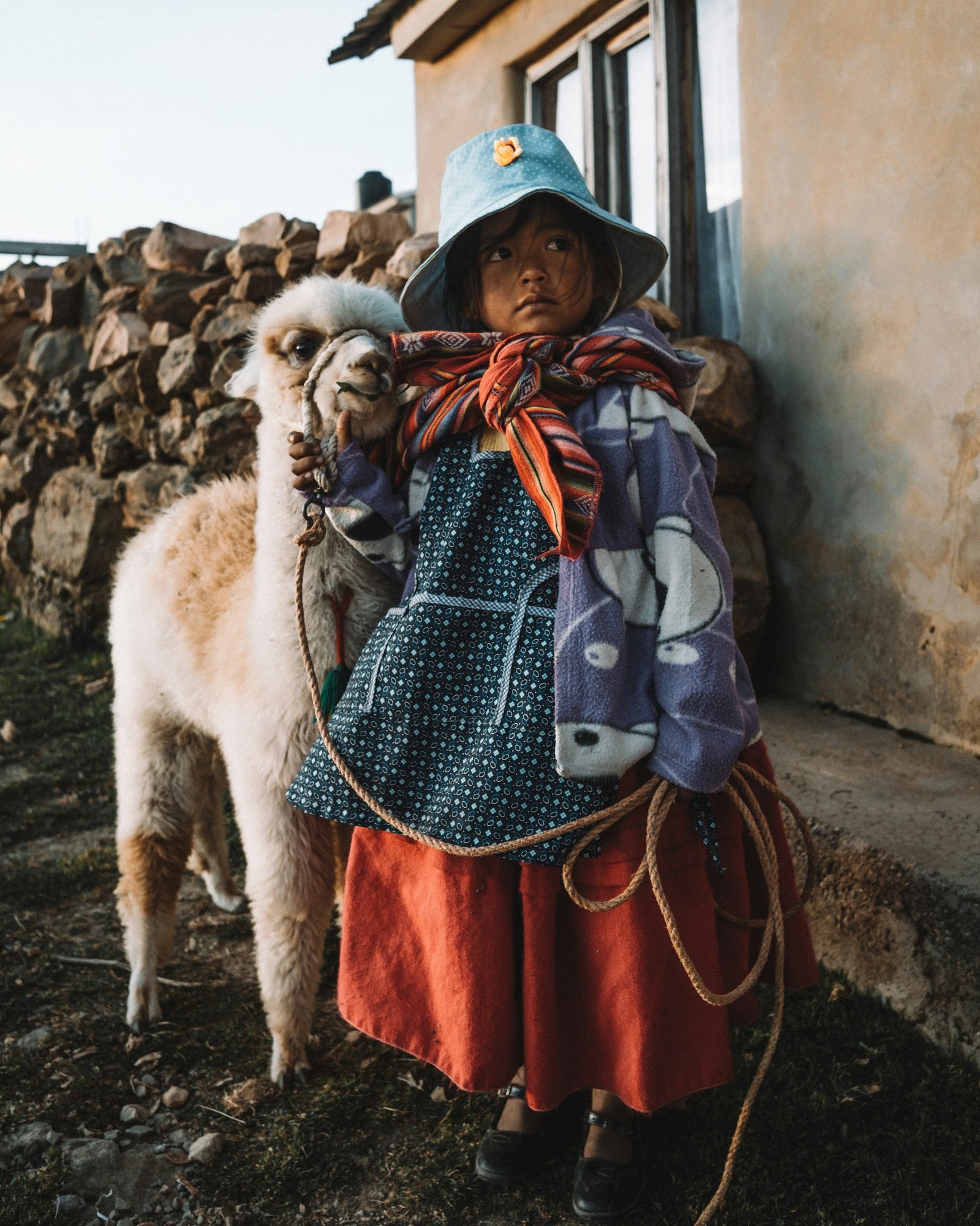 Young girl in traditional dress holding a baby alpaca, Bolivian highlands