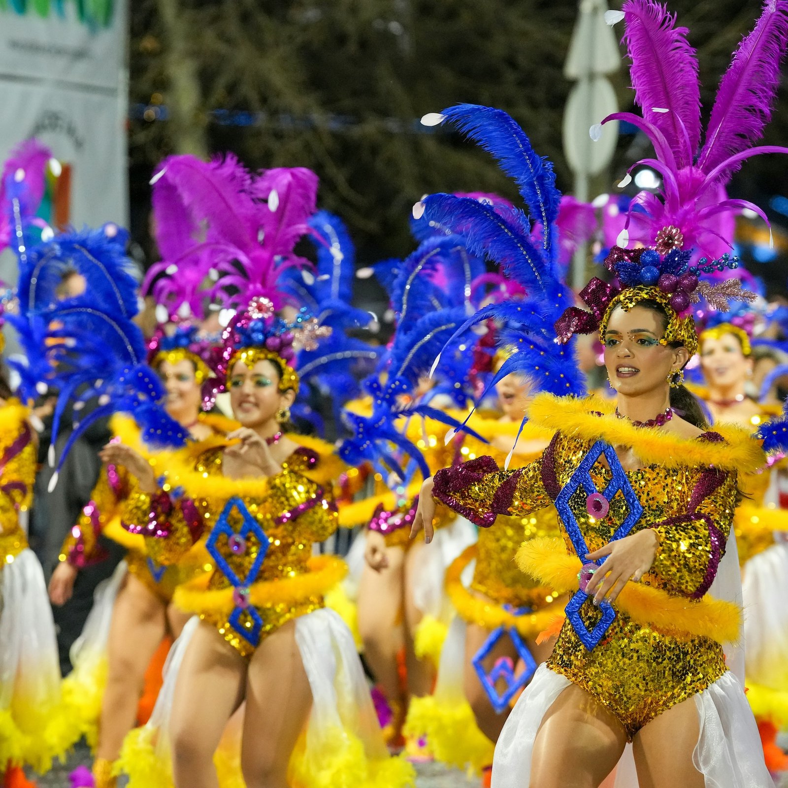 Carnival dancers in gold and purple feathered costumes, Brazil