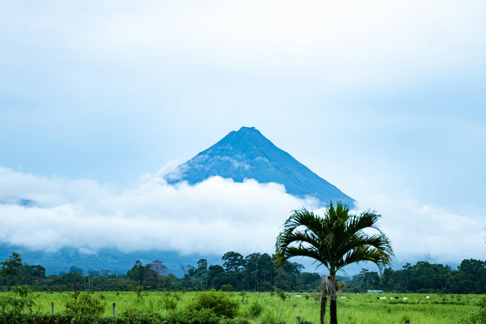 Arenal Volcano rising above the lowland fields of Costa Rica
