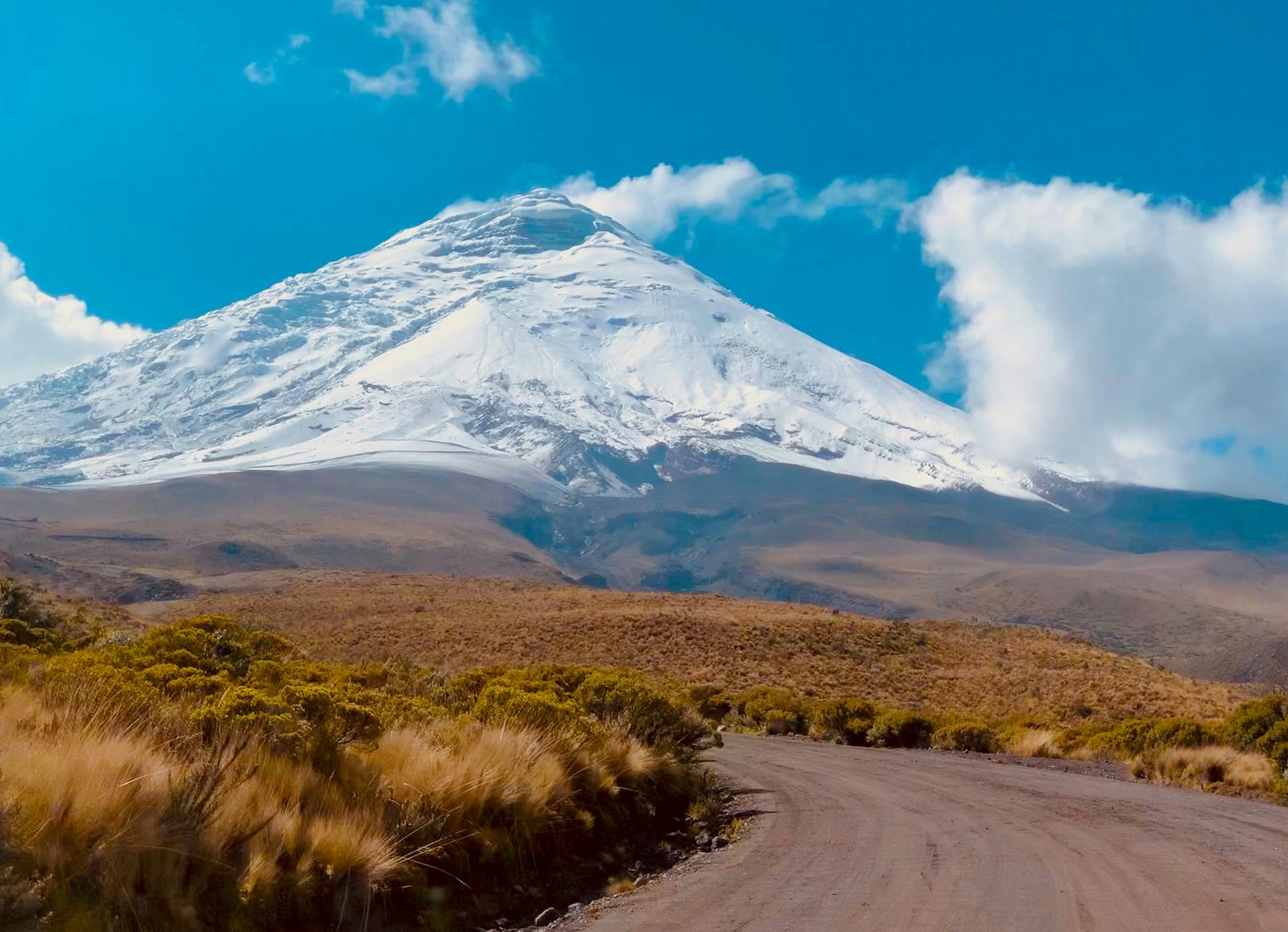 Cotopaxi volcano rising above the Andean páramo, Ecuador