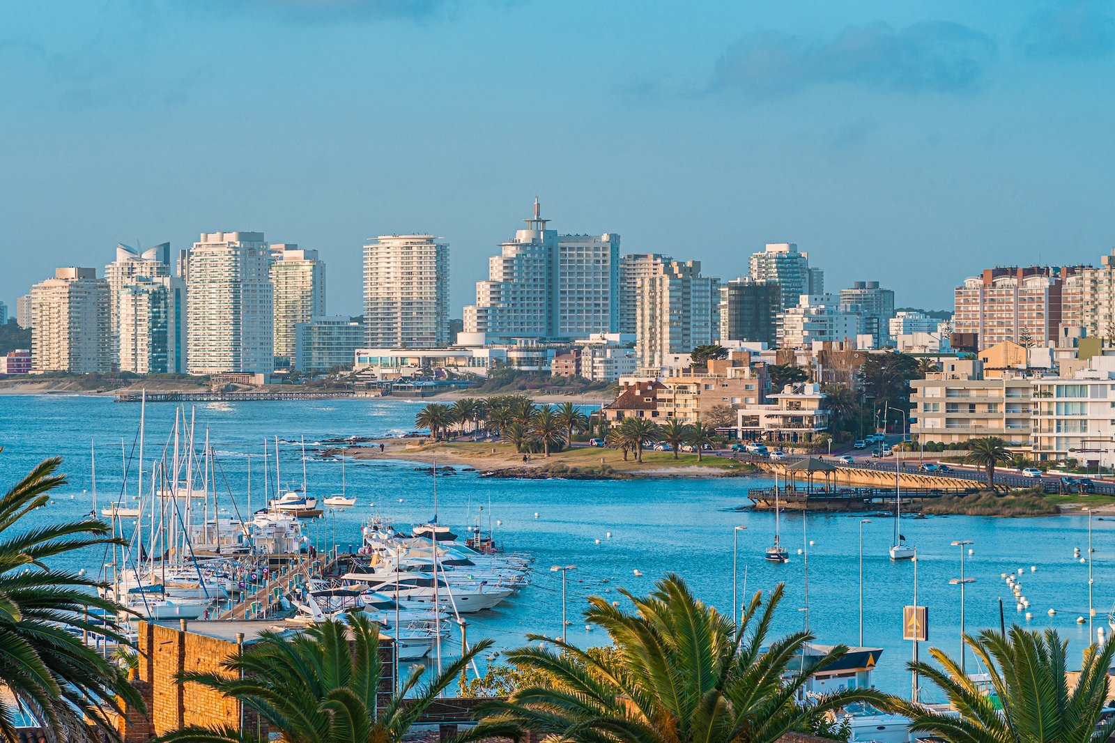 Punta del Este marina and skyline viewed across the blue water, Uruguay