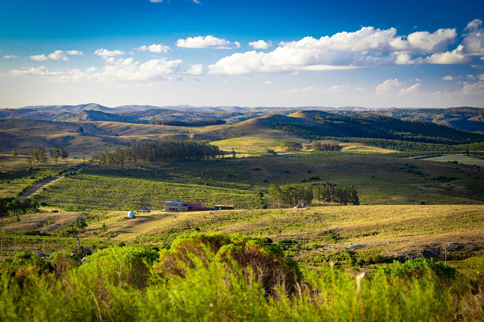 Rolling green hills and farmland of the Uruguayan interior countryside