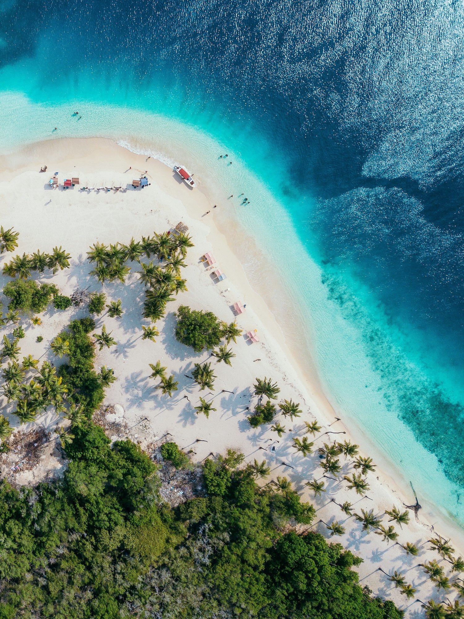 Aerial view of a palm-fringed sandbar surrounded by turquoise water, Los Roques, Venezuela